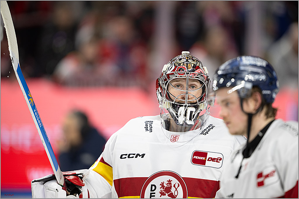 PENNY DEL 1; Kölner Haie - Düsseldorfer EG ; Köln, 16.02.2025